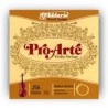 D`Addario Pro Arté Viola set