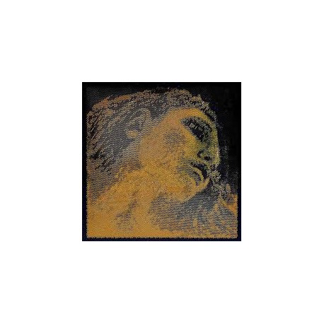 Pirastro Evah Pirazzi Gold Violin set