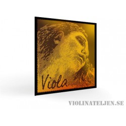 Pirastro Evah Pirazzi Gold Viola set