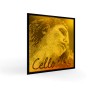 Pirastro Evah Pirazzi Gold cello G