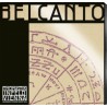 Thomastik Belcanto cello G