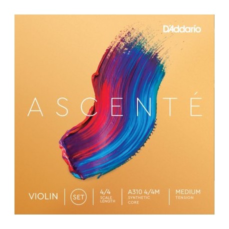 D`Addario Ascente Violin set