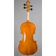 Violin Eastman 80