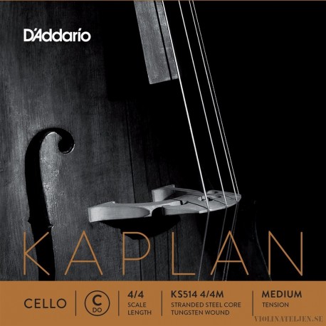 D´Addario Kaplan Solutions C Wolframspunnen Cello