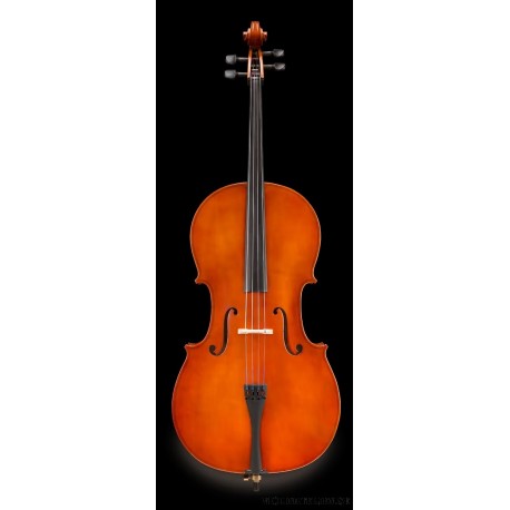 Cello Eastman 50 med stråke och fodral