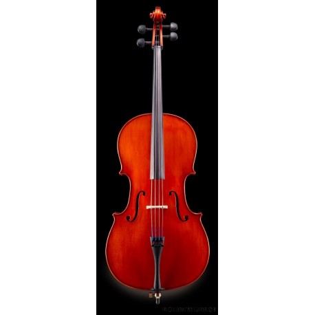 Cello Eastman 150 med stråke och fodral