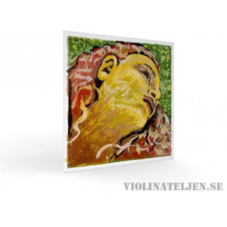 Pirastro Evah Pirazzi NEO Violin set