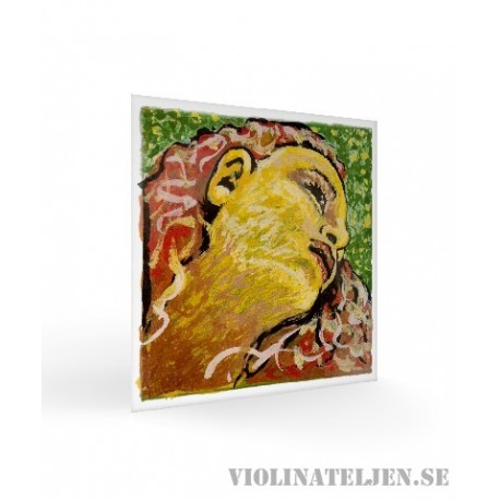 Pirastro Evah Pirazzi NEO Violin G