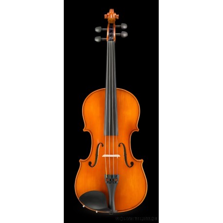 Violin Eastman 150